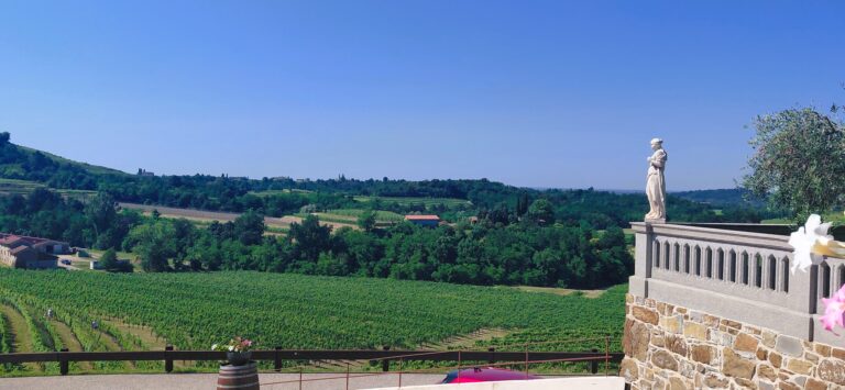 QUANDO IL TERRITORIO FIRMA IL VINO