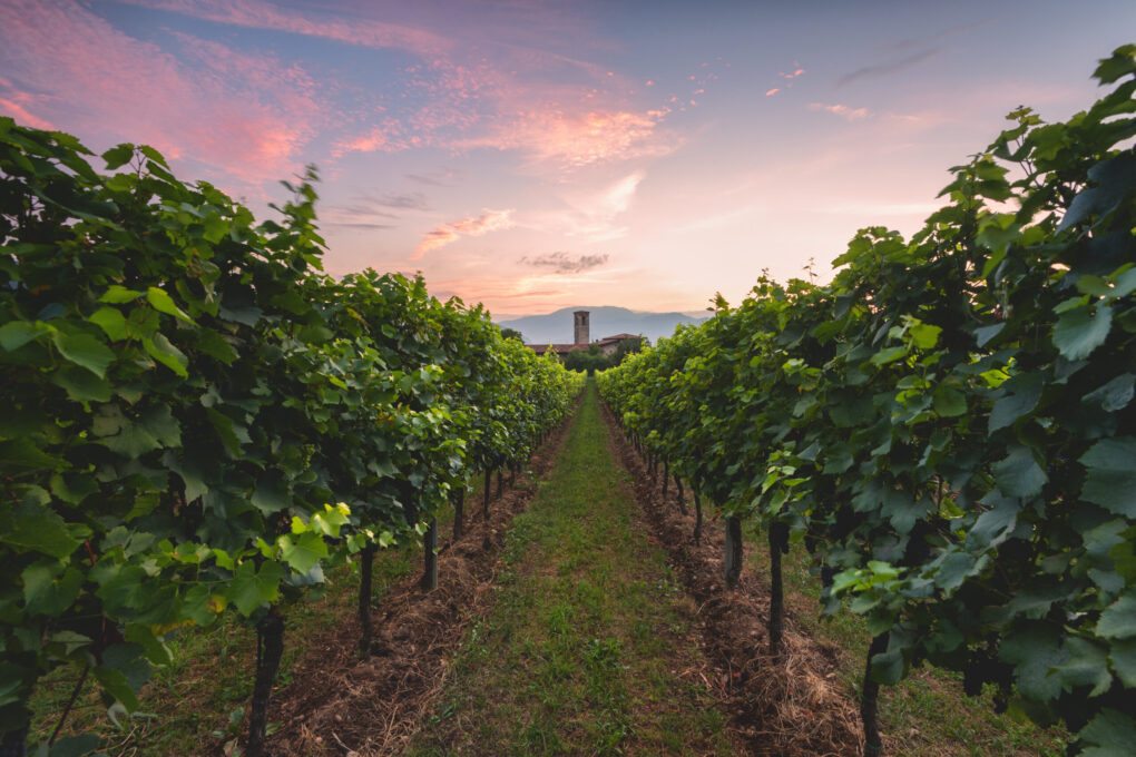 FESTIVAL FRANCIACORTA IN CANTINA, IL VINO TORNA AL CENTRO DELL’ESPERIENZA