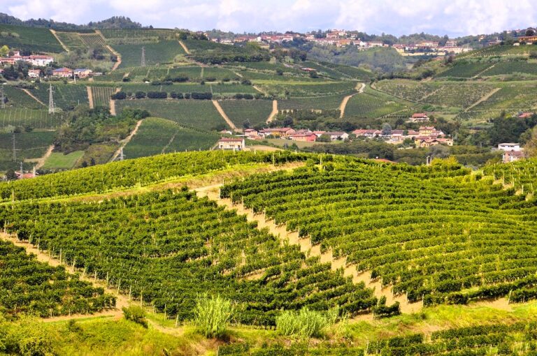 BARBERA, PRIMA VOLTA TRA I 50 MIGLIORI DI DECANTER